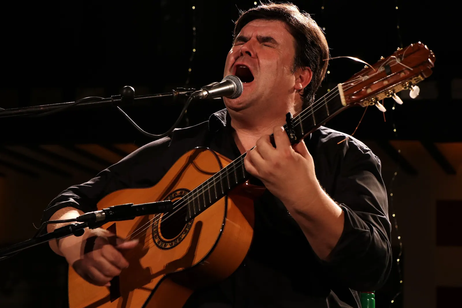 A flamenco singer and guitarist mid-song at a microphone, his head tilted back; a general photograph of a flamenco performer, not a performer at the Marbeuf Palace